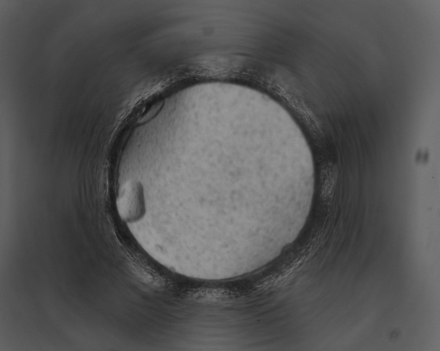 X0000095510685200801041200