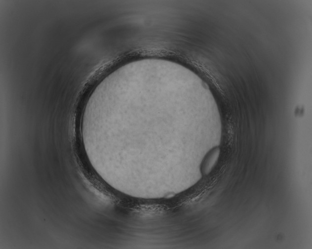 X0000095510686200801041200