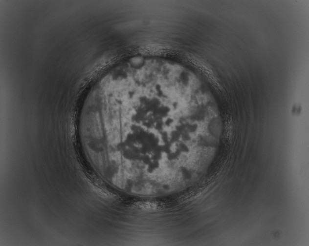 X0000095510687200801041200