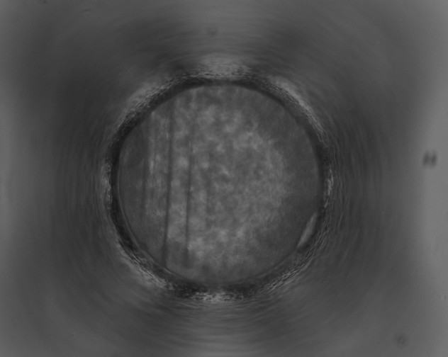 X0000095510688200801041200