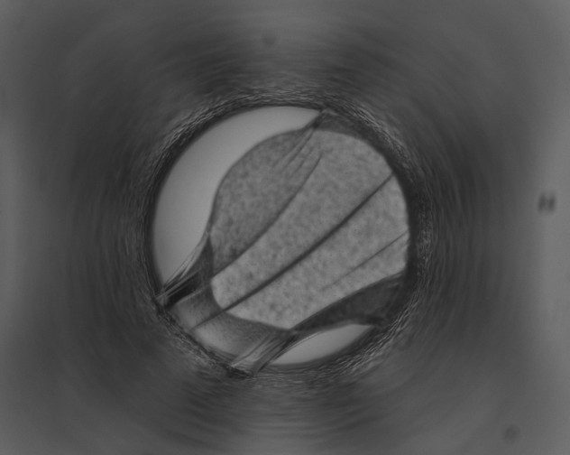X0000095510689200801041200