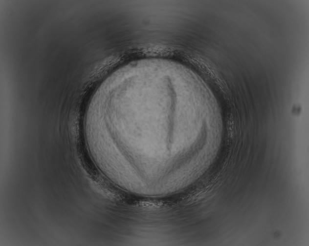 X0000095510690200801041200