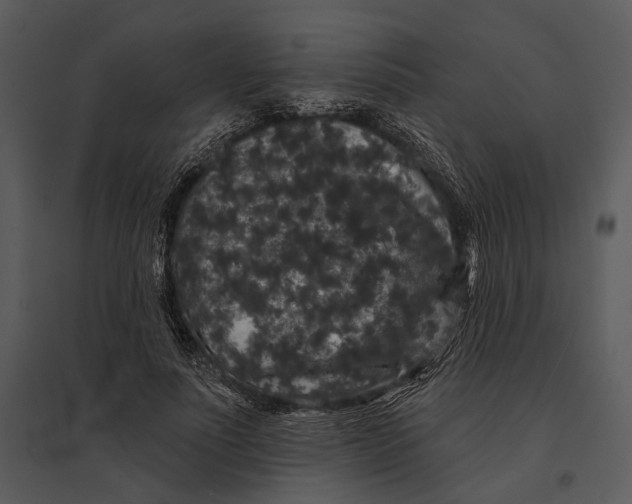 X0000095510691200801041200