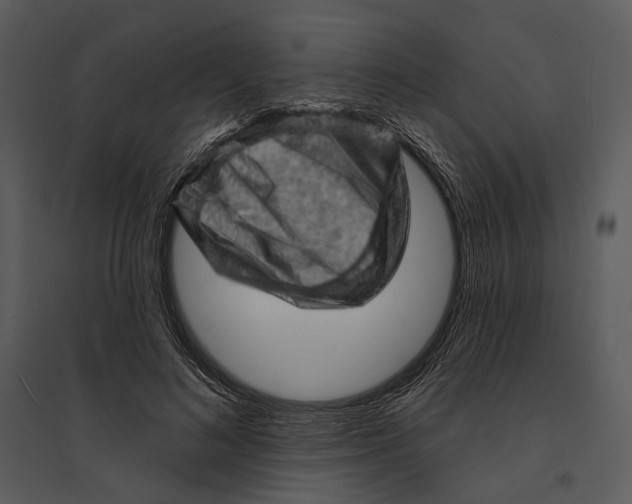 X0000095510692200801041200
