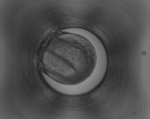 X0000095510693200801041200