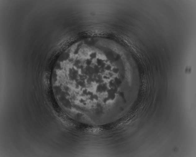 X0000095510695200801041200