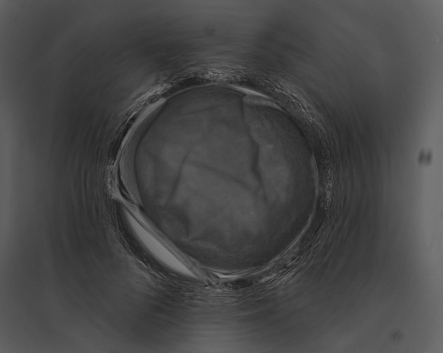 X0000095510696200801041200