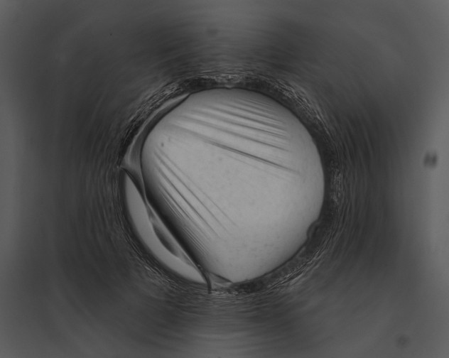 X0000095510697200801041200