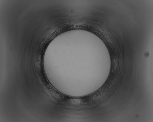 X0000095510698200801041200