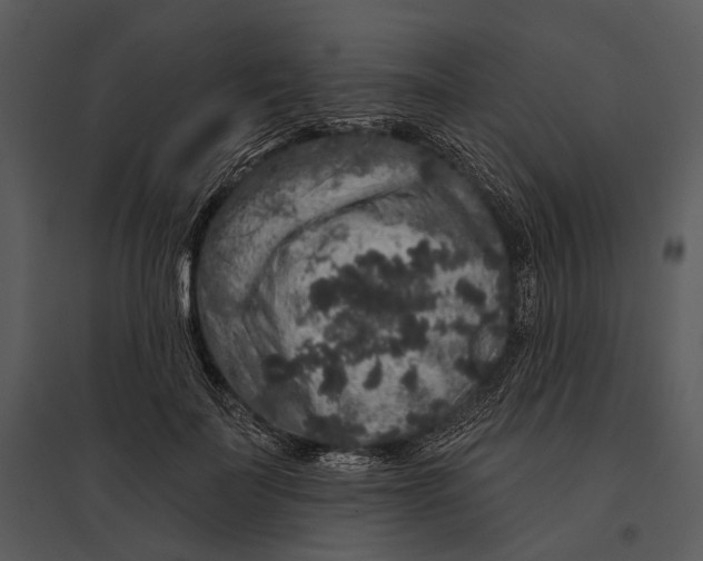 X0000095510699200801041200