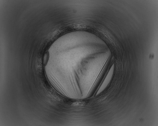 X0000095510700200801041200