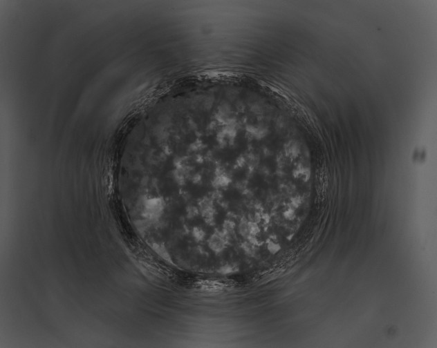 X0000095510703200801041200