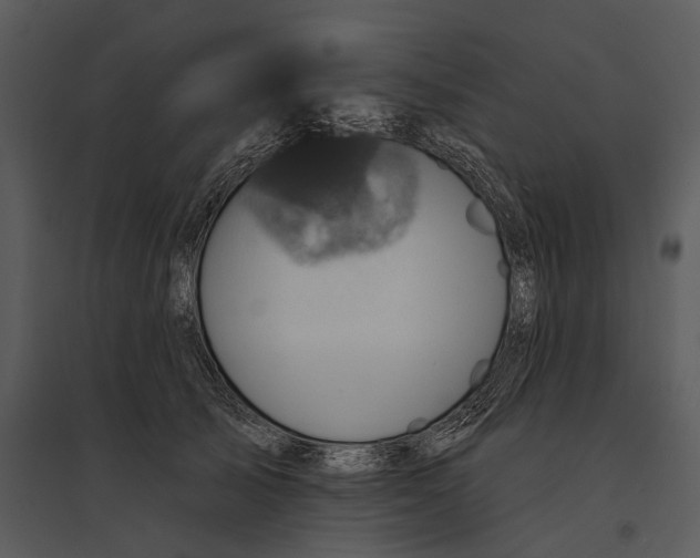 X0000095510705200801041200