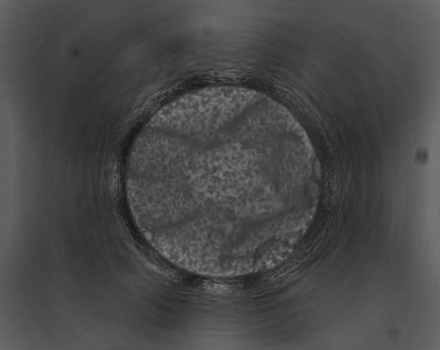 X0000095510706200801041200