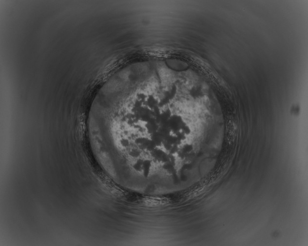 X0000095510707200801041200