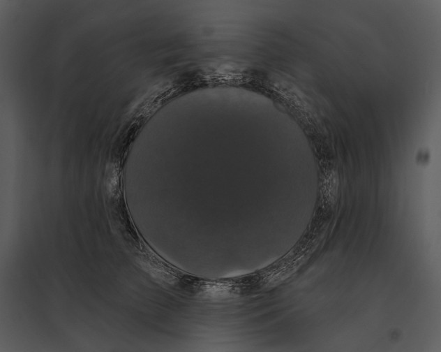 X0000095510709200801041200