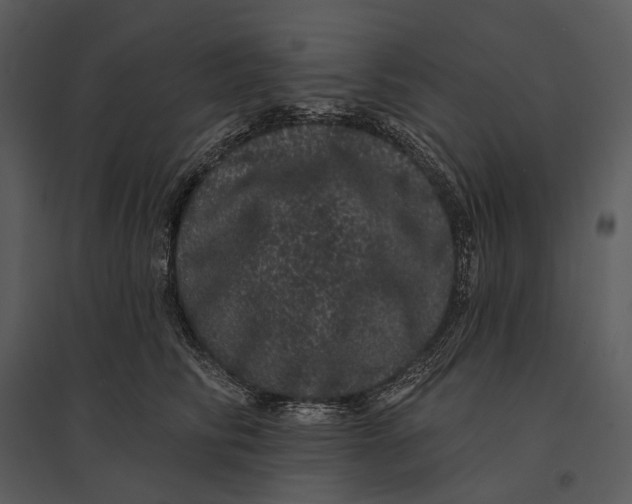 X0000095510710200801041200