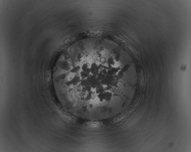 X0000095510711200801041200