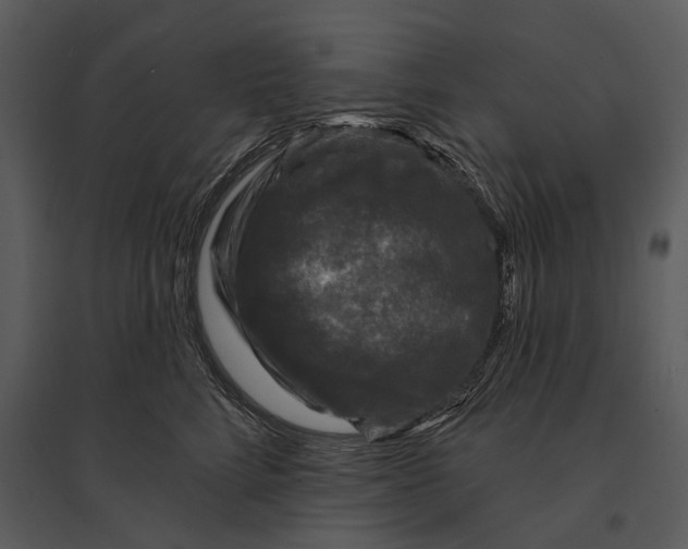 X0000095510712200801041200