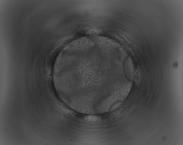 X0000095510714200801041200