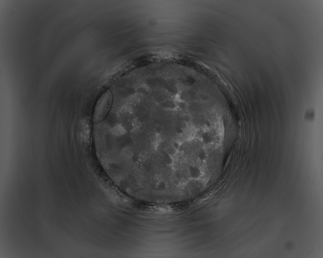 X0000095510715200801041200