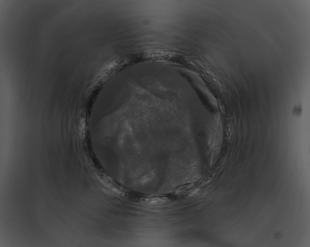 X0000095510716200801041200