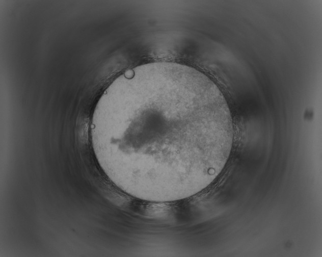 X0000095510717200801041200