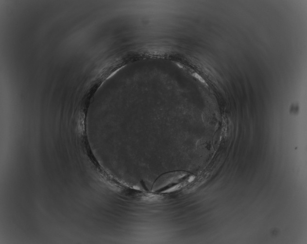 X0000095510718200801041200