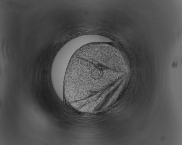 X0000095510720200801041200