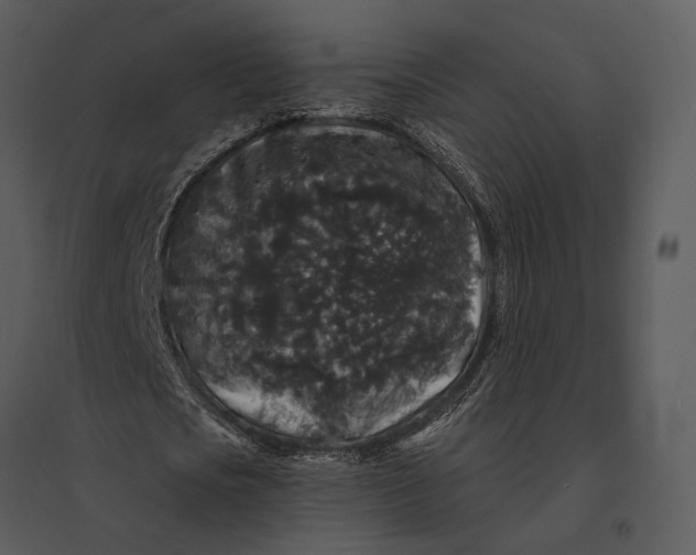 X0000095510721200801041159