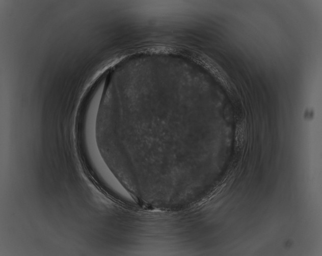 X0000095510722200801041159