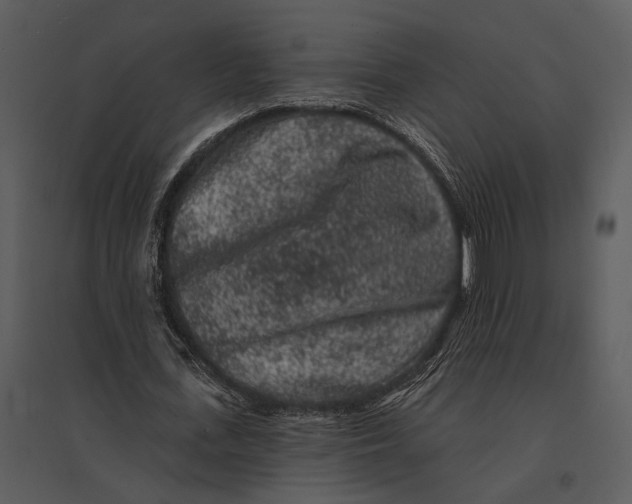 X0000095510723200801041159
