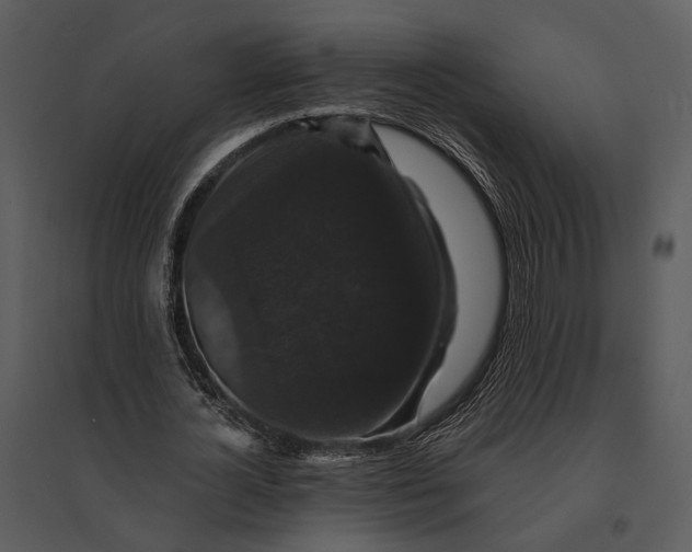 X0000095510724200801041159