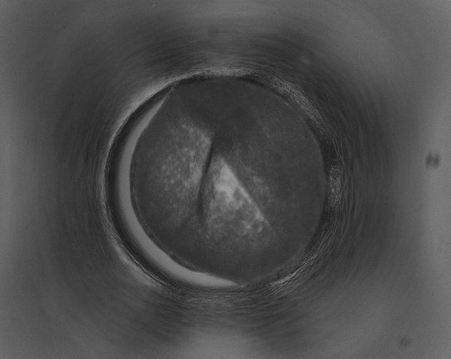X0000095510726200801041159