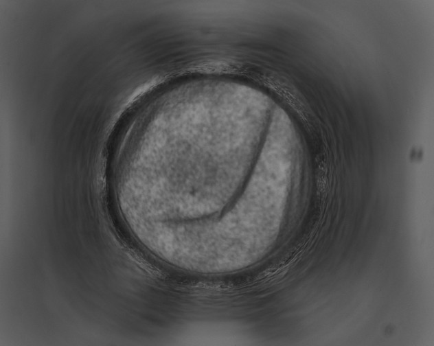 X0000095510727200801041159