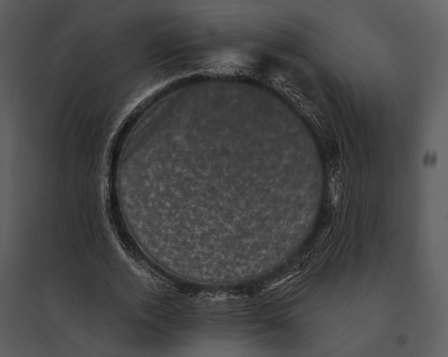 X0000095510728200801041159