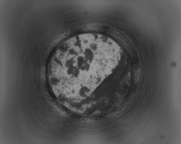 X0000095510729200801041159