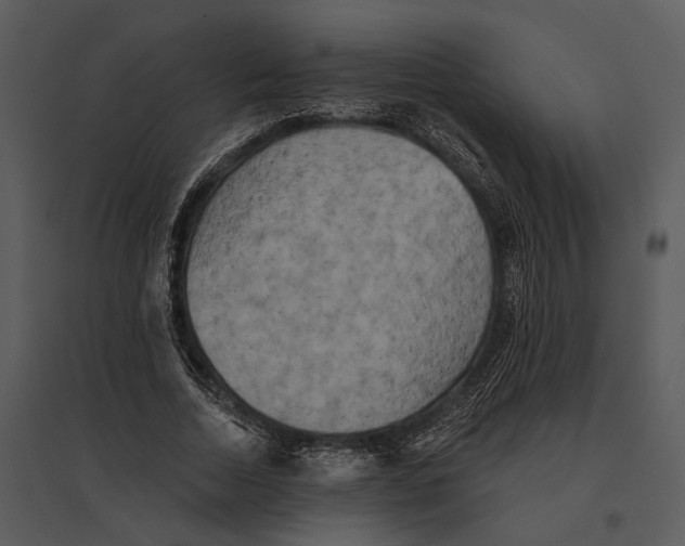 X0000095510730200801041159