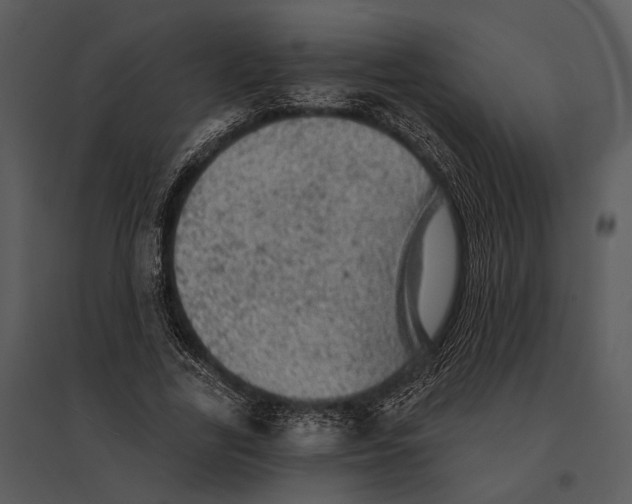 X0000095510731200801041159