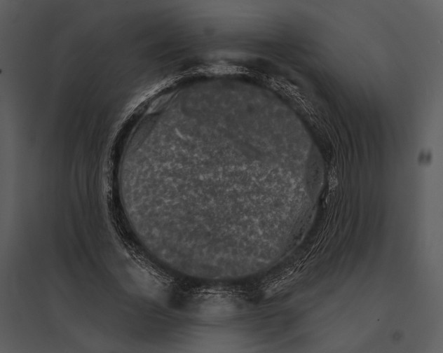 X0000095510732200801041159