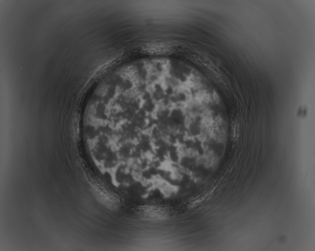 X0000095510733200801041159
