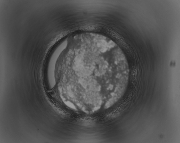 X0000095510734200801041159