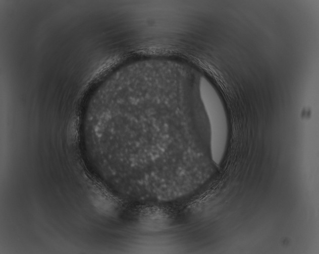X0000095510735200801041159