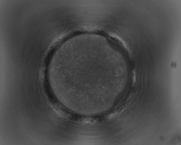 X0000095510736200801041159
