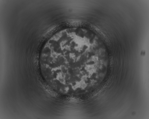 X0000095510737200801041159