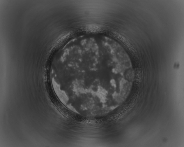 X0000095510738200801041159