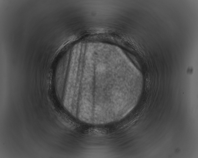 X0000095510739200801041159