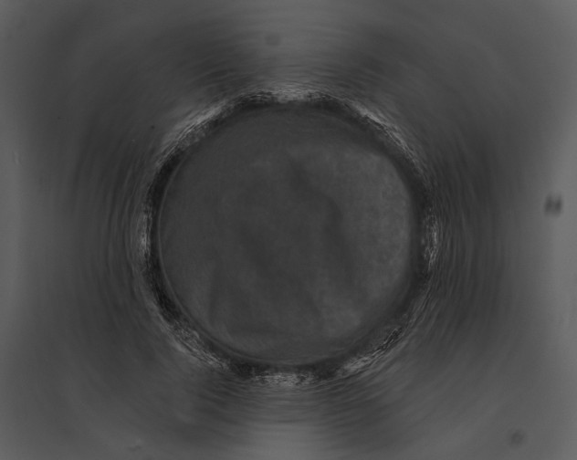 X0000095510740200801041159