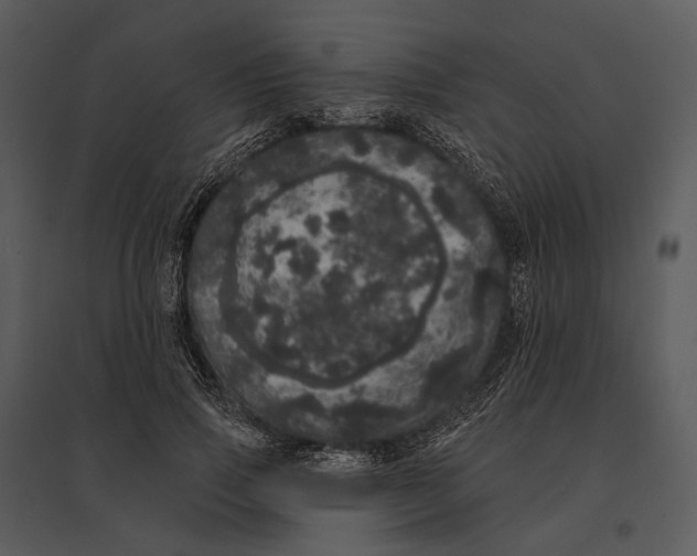 X0000095510741200801041159