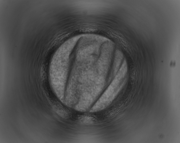 X0000095510743200801041159
